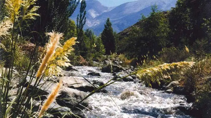Mountain Bike en Valle Potrerillos