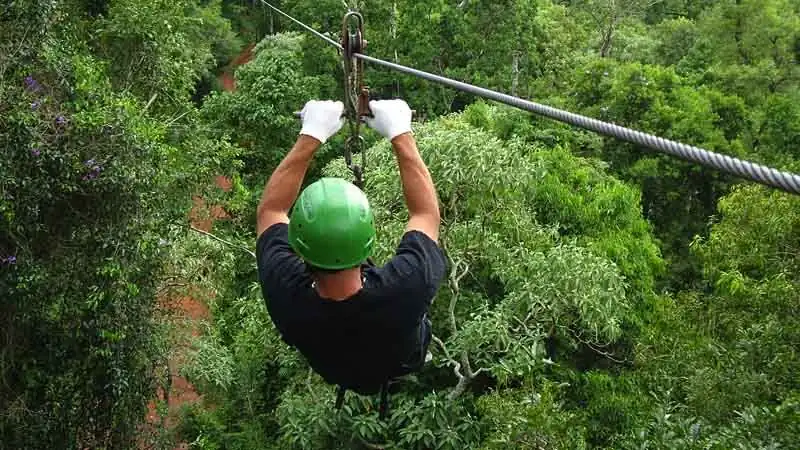 Iguazú Canopy Forest