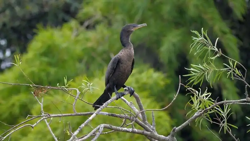 City Tour en Puerto Iguazú