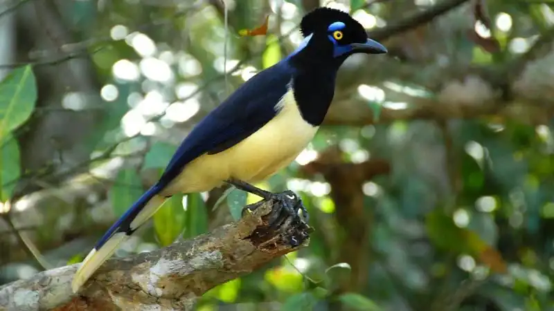 City Tour en Puerto Iguazú