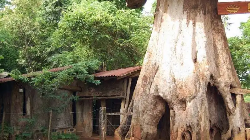 City Tour en Puerto Iguazú