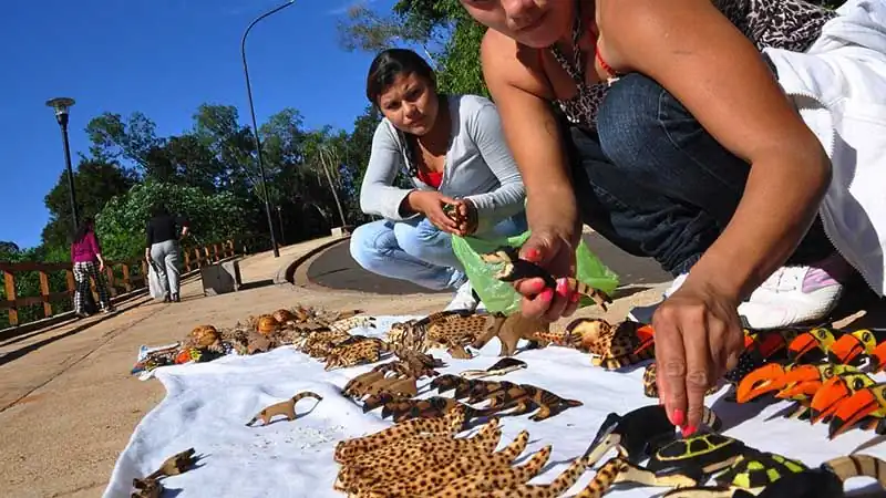 Aldea Guaraní Fortin M Borore