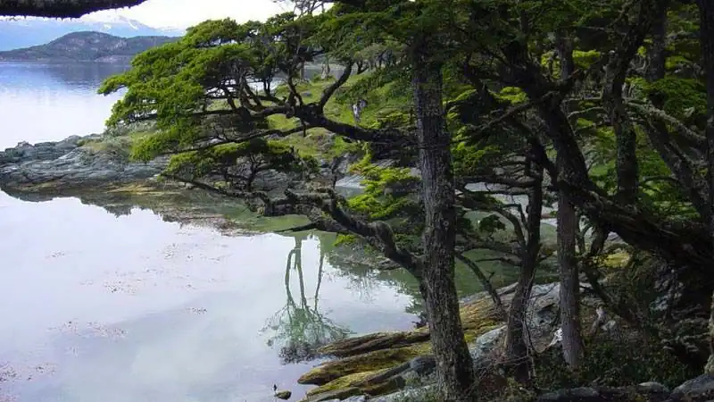 Trek Laguna Esmeralda