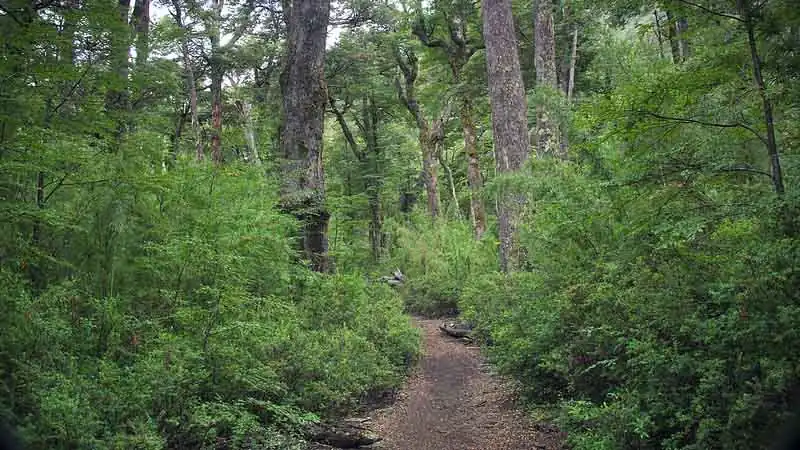 Trek Laguna Esmeralda