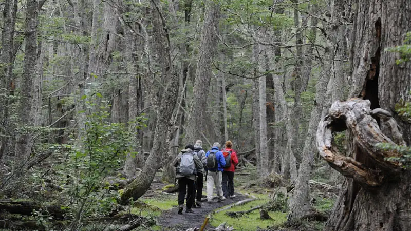 Trekking y canoas en el Parque Nacional Tierra del Fuego