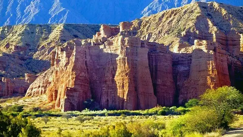 Cafayate y Bodegas 