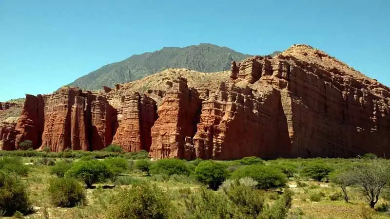 Cafayate y Bodegas 