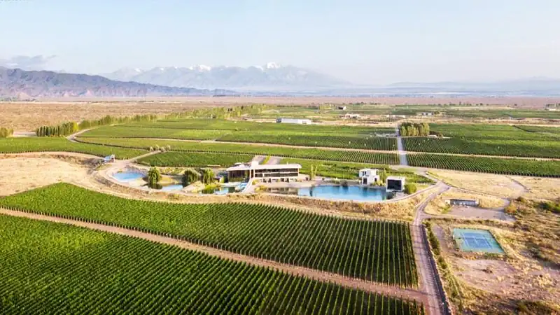 Lujo | Casa de Uco Vineyards & Wine Resort