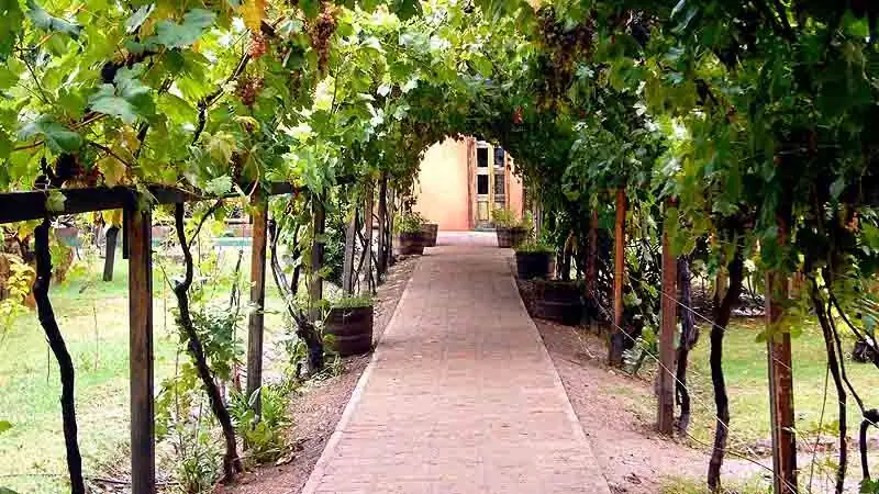 Cavas Wine Lodge - Lujo