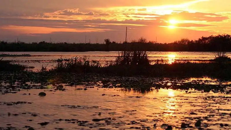 Aguapé Lodge - Posada
