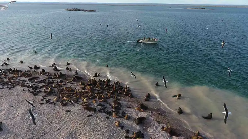 Bahía Bustamante Lodge 