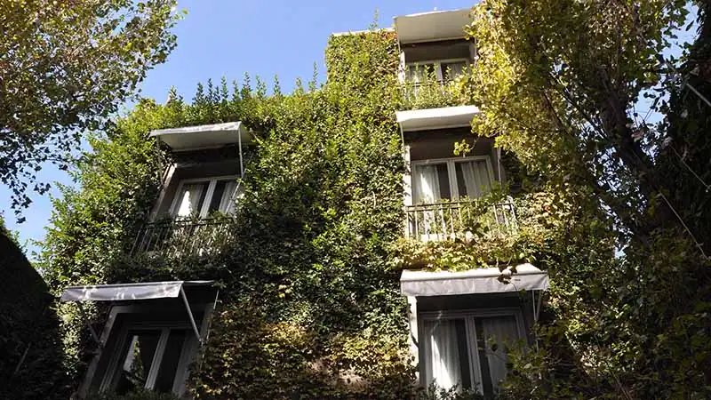 Boutique | Legado Mítico Buenos Aires