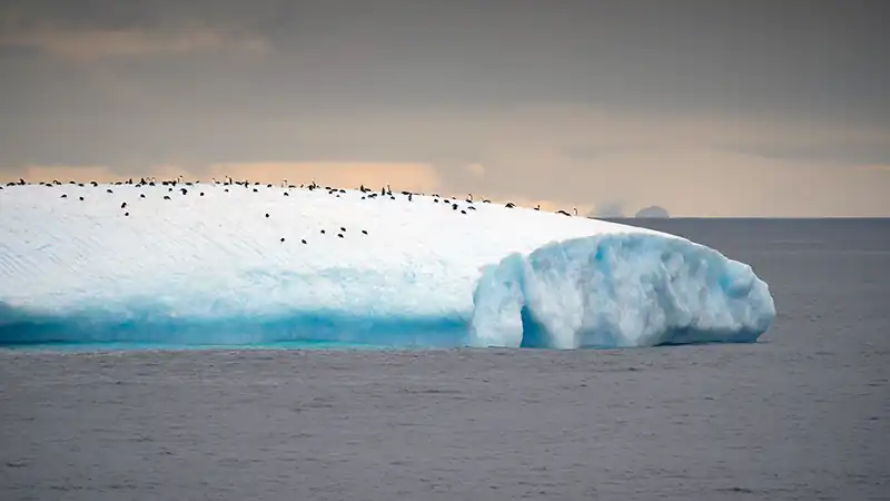 Aero – Crucero Antártida Express 