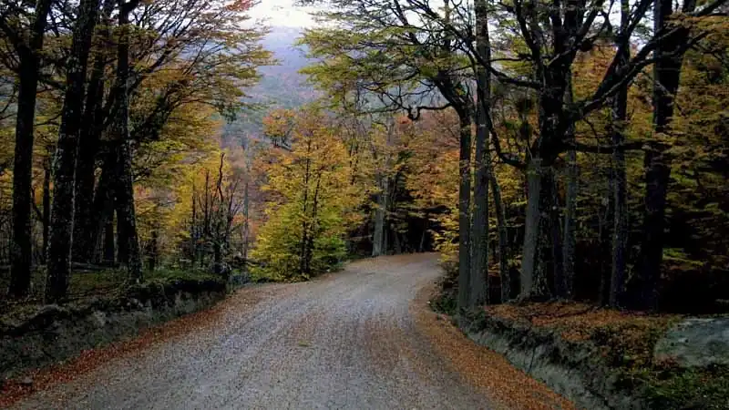 Escapada a Patagonia Sur: Ushuaia, Calafate y Glaciar Perito Moreno