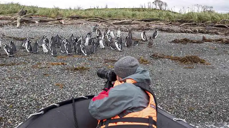 Crucero Australis Fiordos Tierra del Fuego